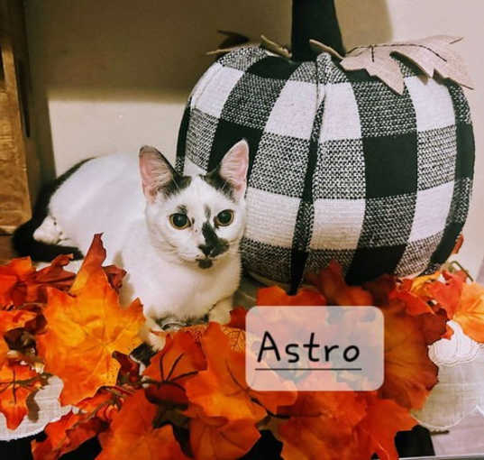 Photo of Astro #to-infiniti-and-back