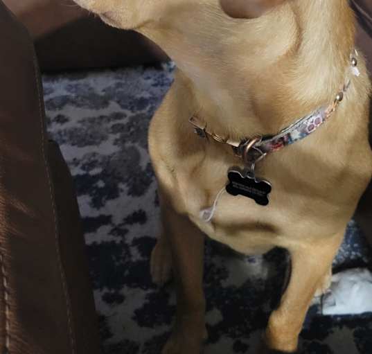 Photo of Fidelito