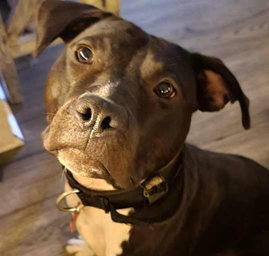Photo of Lil