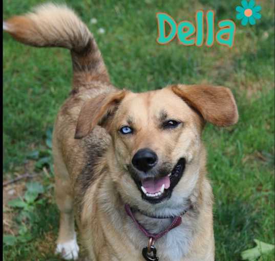 Photo of Della