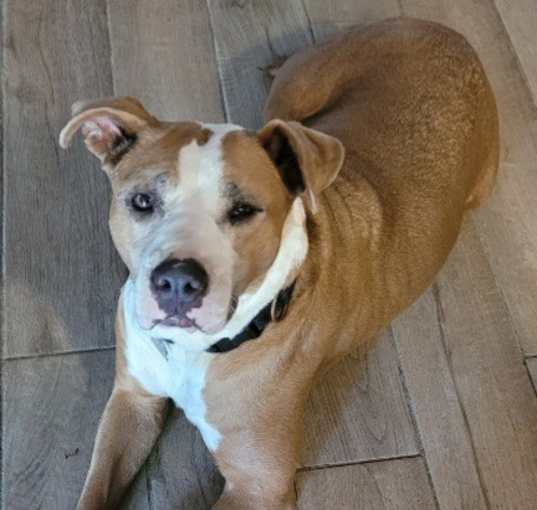 Photo of Phoenix