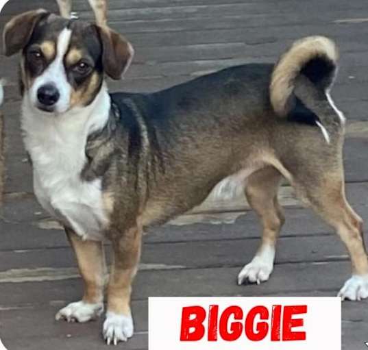 Photo of Biggie