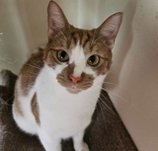 Photo of Manny