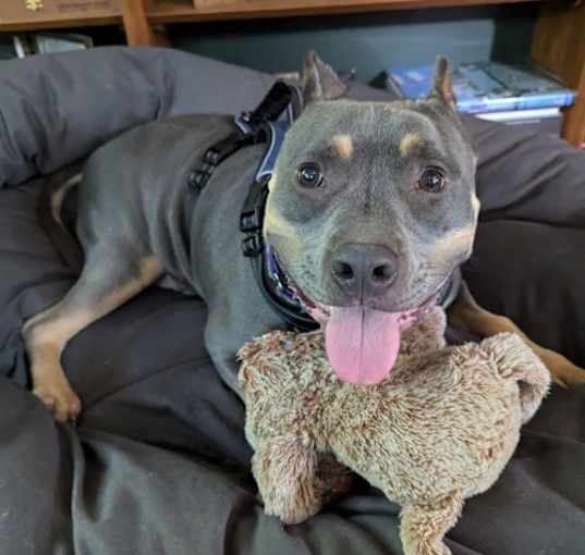 Photo of Rudy
