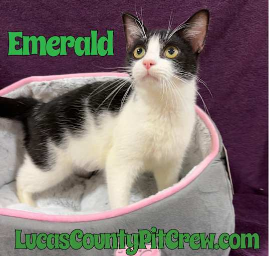 Photo of Emerald