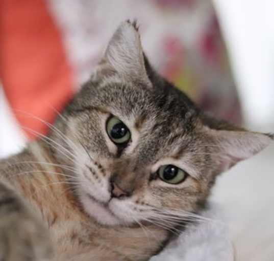 Photo of Jubilee