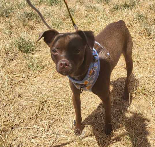 Photo of Scooter