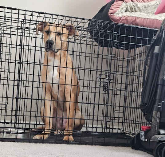 Photo of Oakley