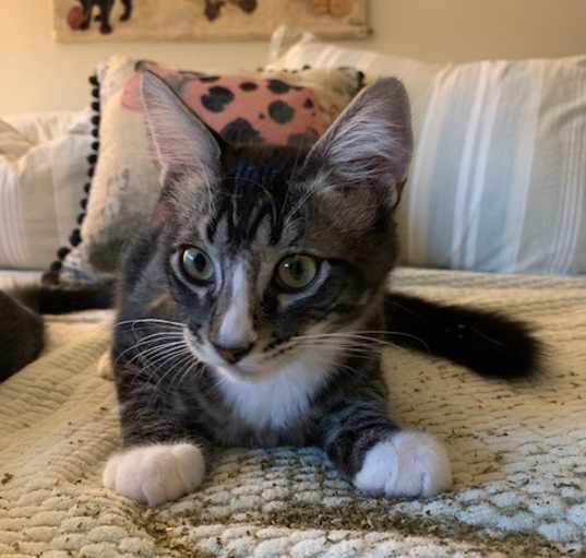 Photo of Marble
