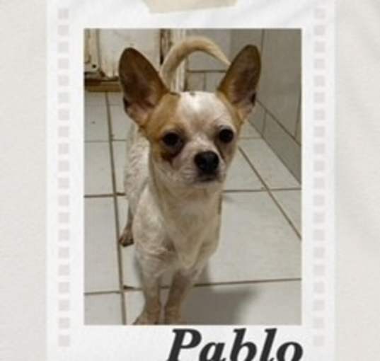 Photo of Pablo