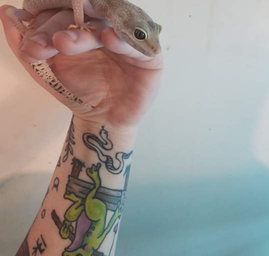 Photo of Rascal