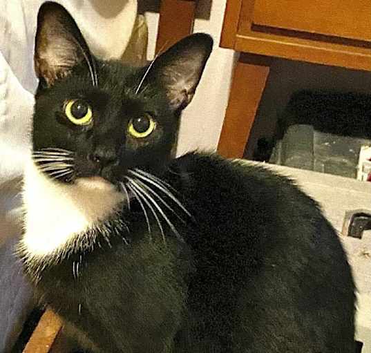 Photo of Tally