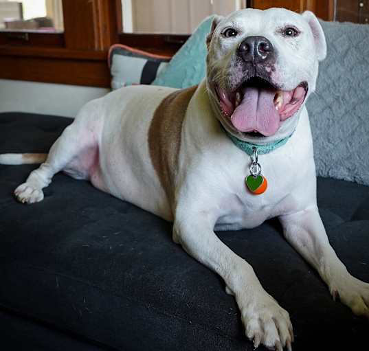 Photo of Vinnie