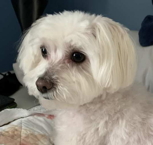 Photo of Weslee