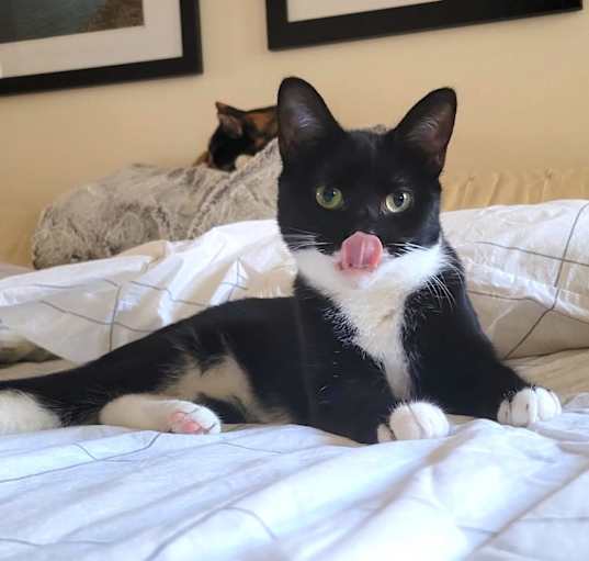 Photo of Lilah