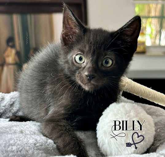 Photo of Billy