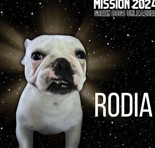 Photo of Rodia