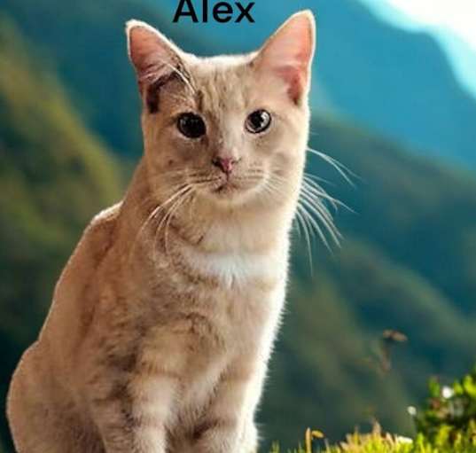 Photo of Alex