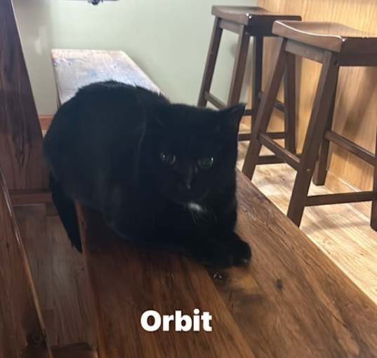 Photo of Orbit