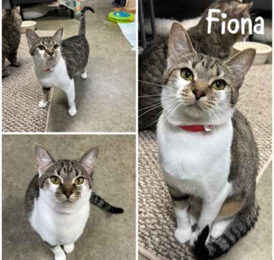 Photo of Fiona