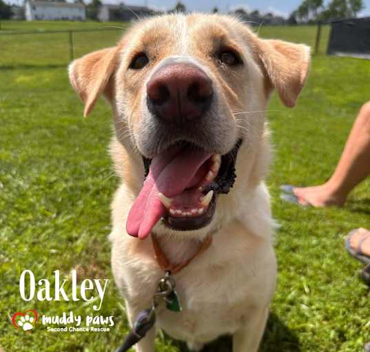 Photo of Andy Oakley aka Oakley