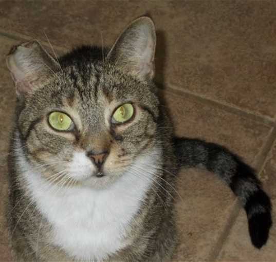 Photo of Sloop