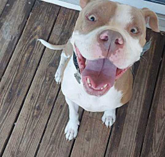 Photo of Princess Bella