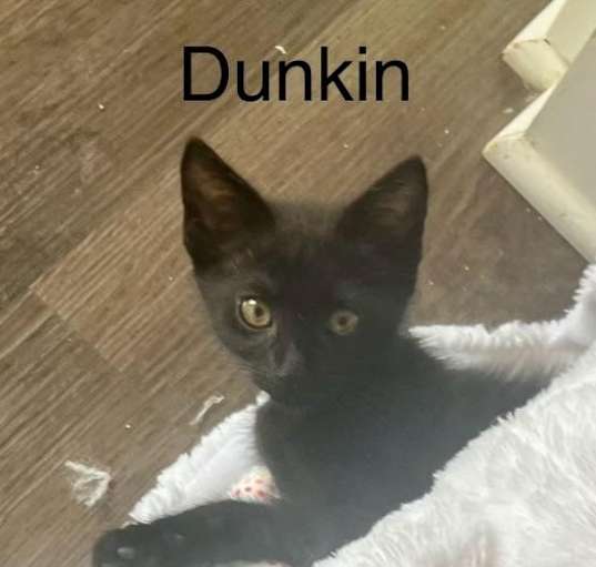 Photo of Dunkin