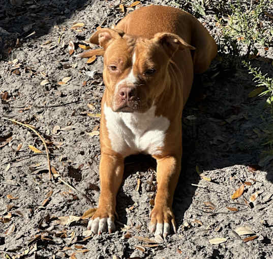 Photo of Remi