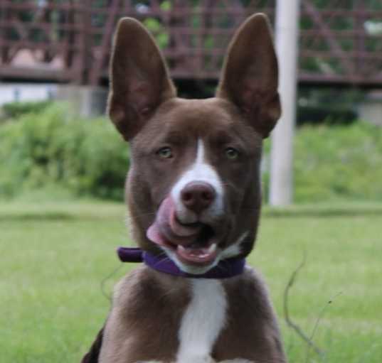 Photo of Jacey