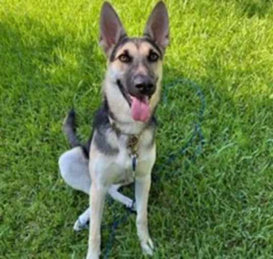 Photo of Nala Stacy