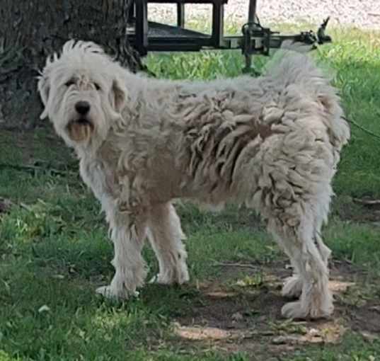 Photo of Gladys