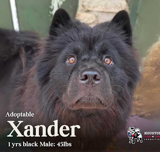 Photo of Xander