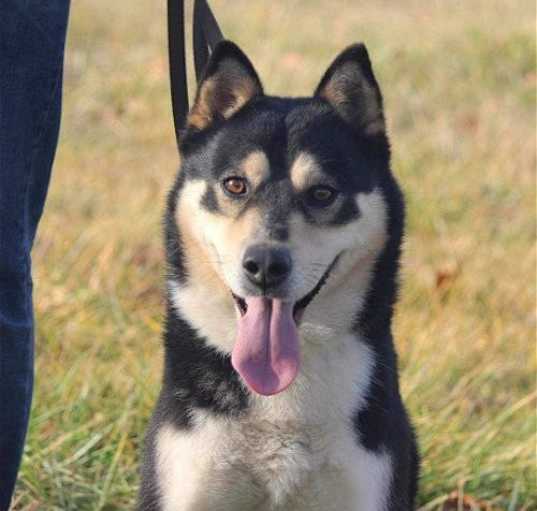 Photo of Togo