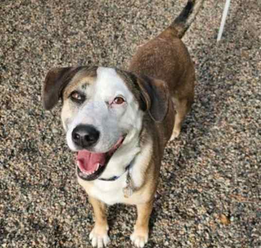 Photo of Cabela nka Belle