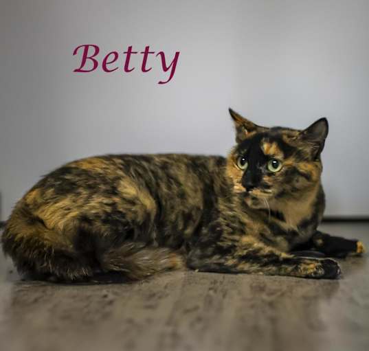 Photo of Betty C24-163