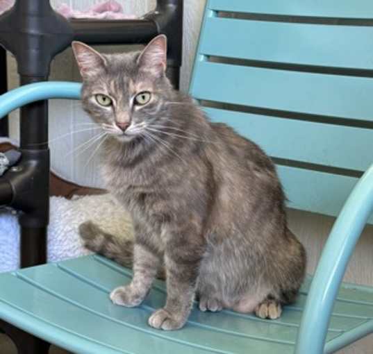 Photo of KiKi
