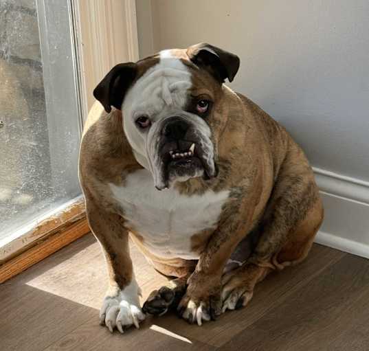 Photo of Big Andy