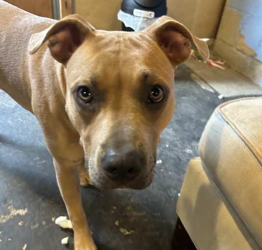 Photo of Roxy