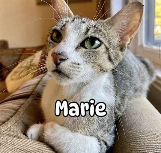 Photo of Miss Marie