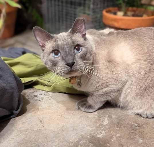 Photo of Winston 4685
