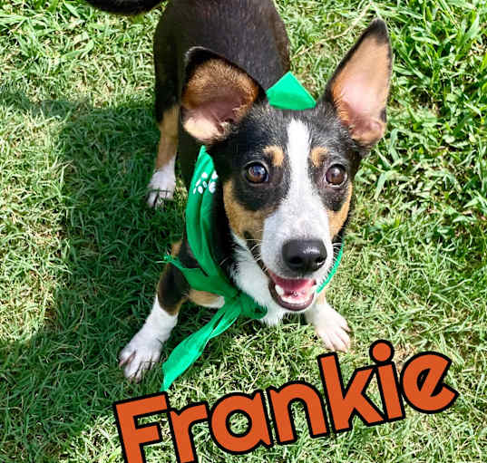 Photo of Frankie in Texarkana TX