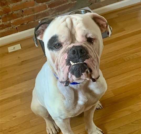 Photo of RUFIO (COURTESY POST)
