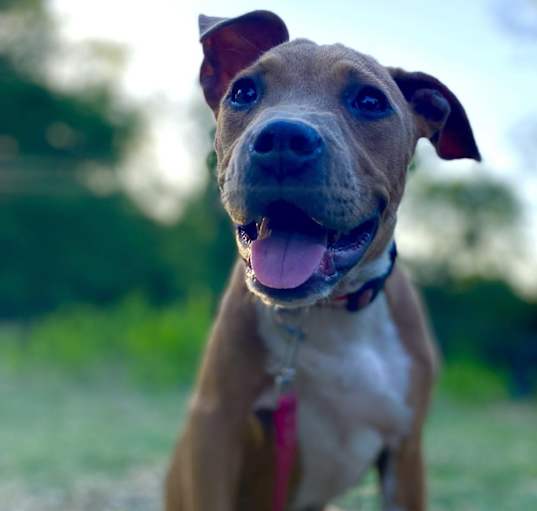 Photo of Lyla