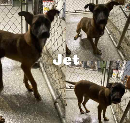 Photo of Jet