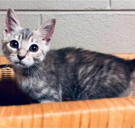 Photo of Betty