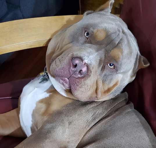 Photo of Smalls