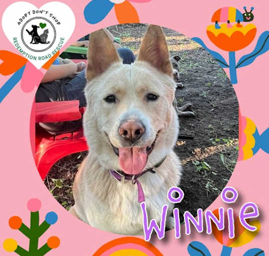 Photo of Winnie