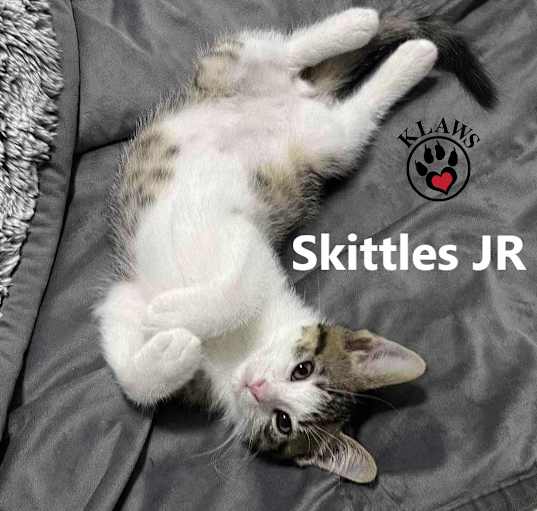 Photo of Skittles JR