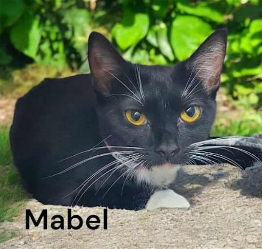 Photo of Mabel